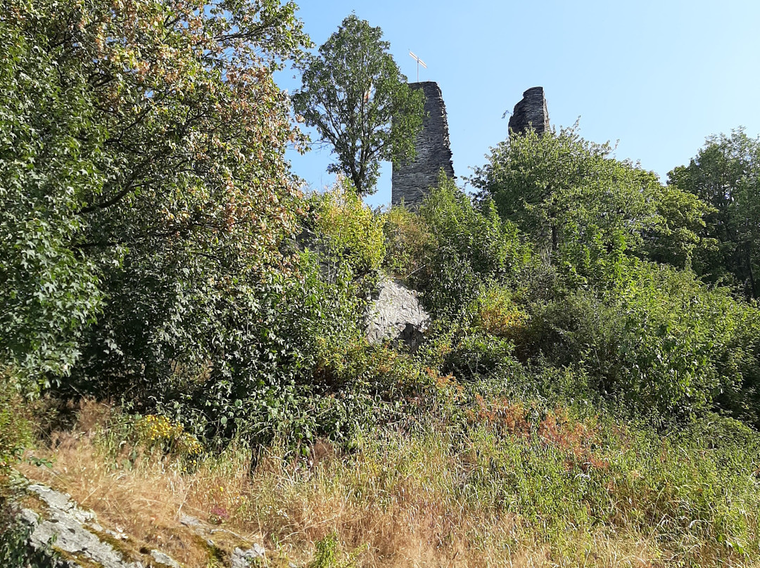 Haller Ruine景点图片
