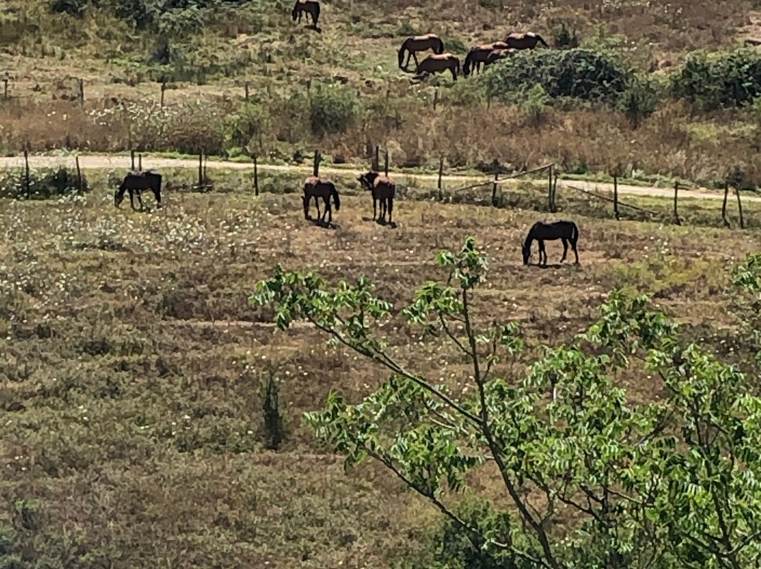 斯提里安诺酒店主图