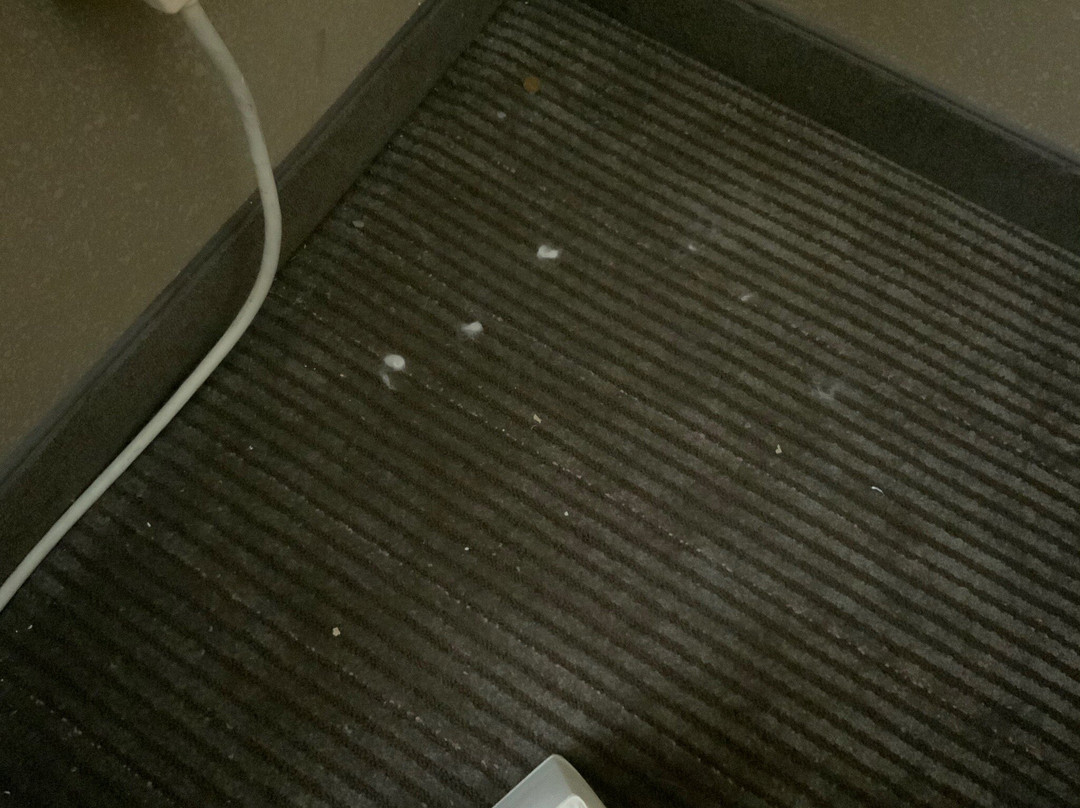 Best Western University Inn主图