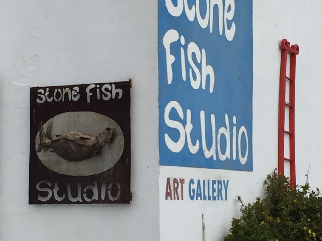 Stone Fish Studio and Gallery景点图片