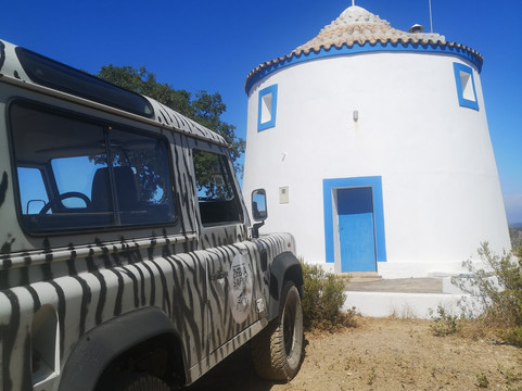 Zebra Safari Tours-阿尔布赞拉必去景点