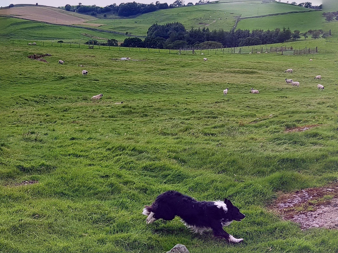 The Black Bull at Nateby主图