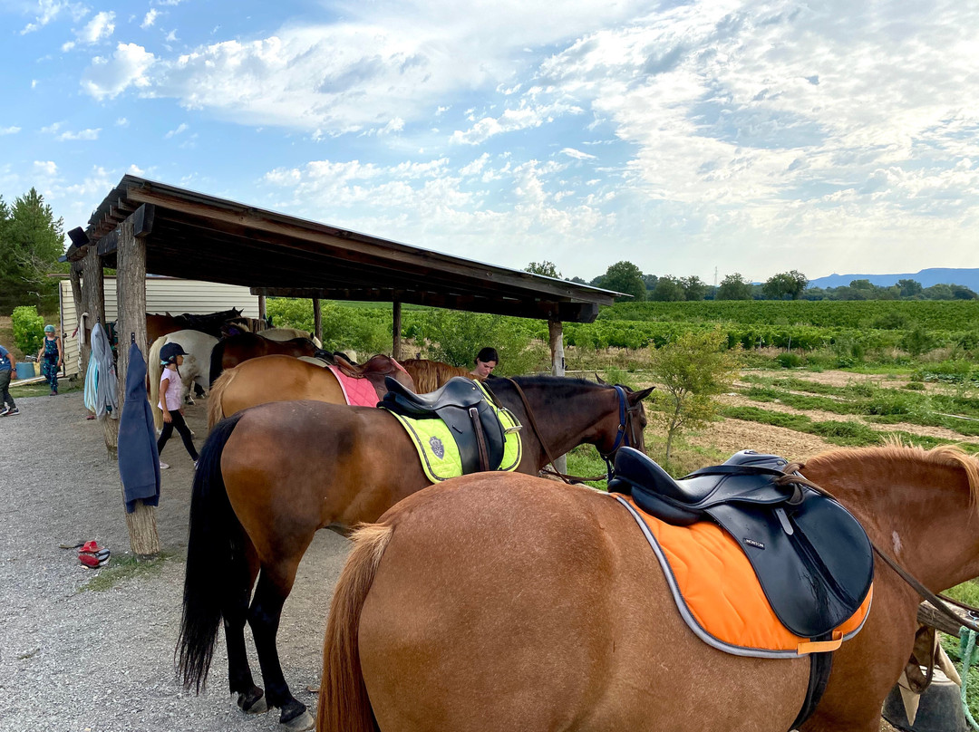 Centre Equestre L'Hippocampe-Berrias et Castejau必去景点