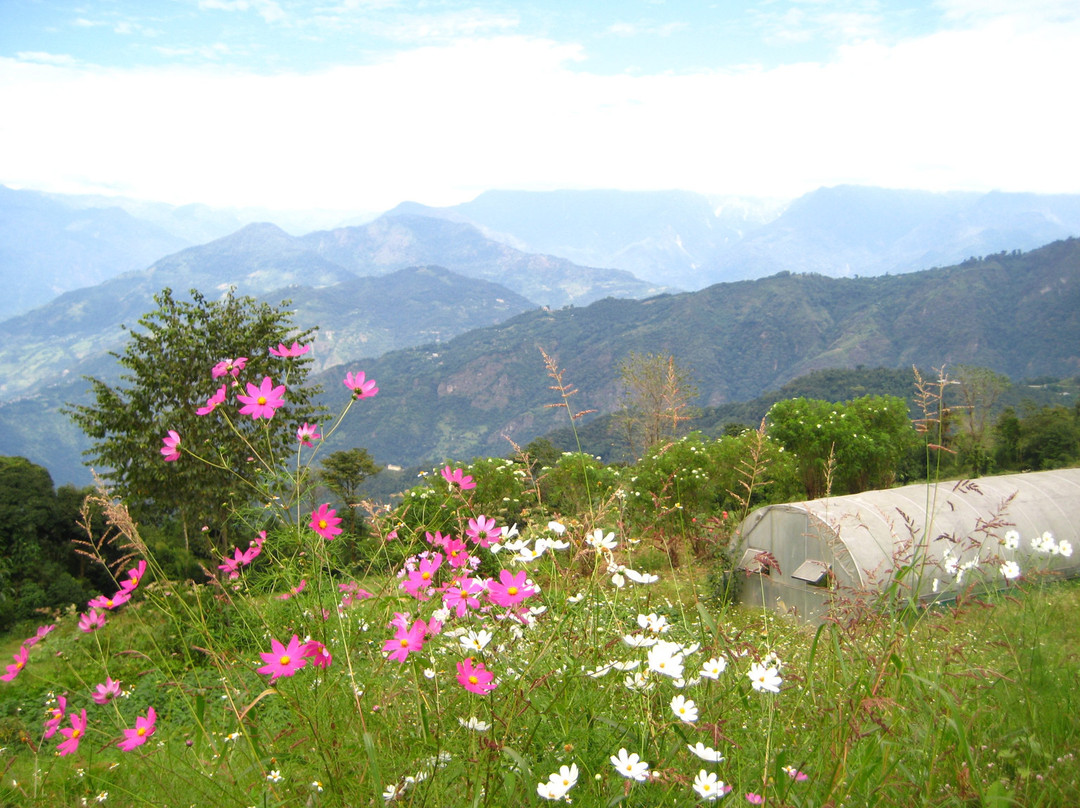 Mt. Narsing Village Resort主图