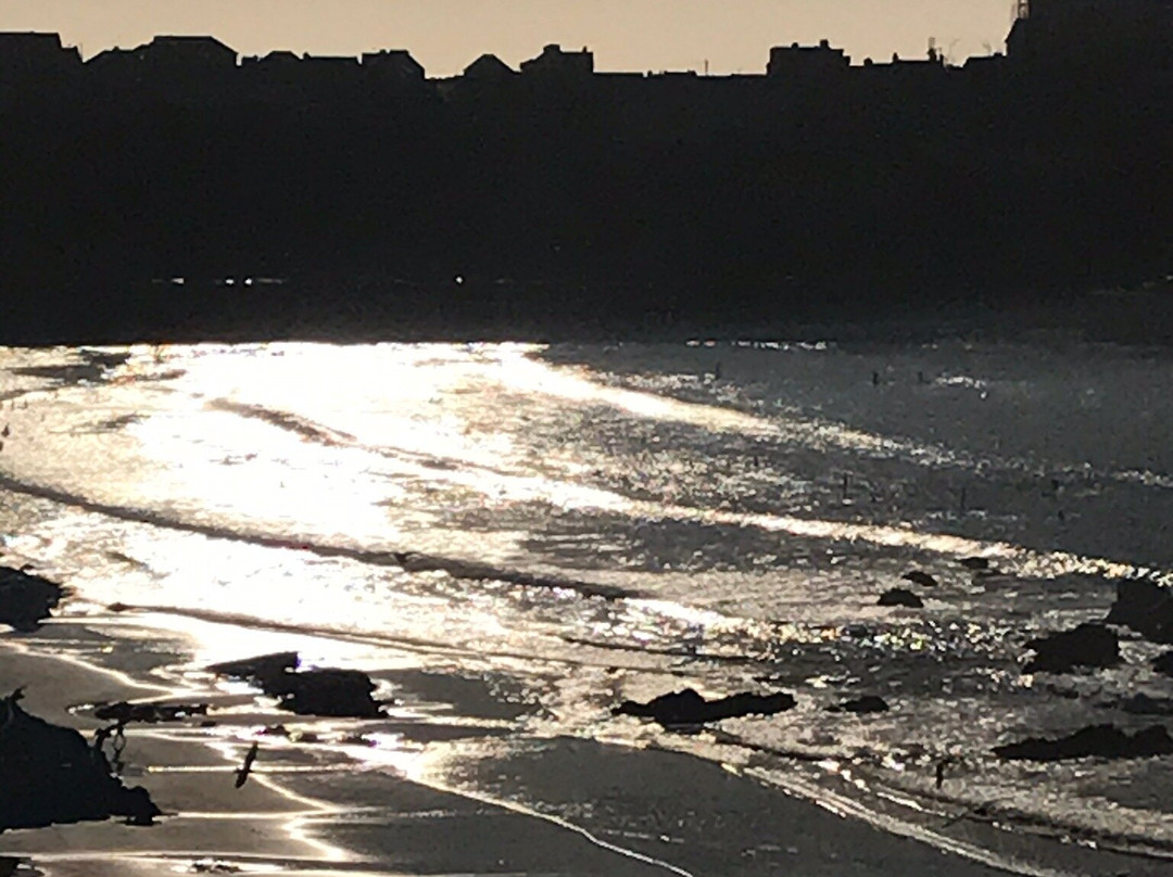 Great Western Beach-纽奎必去景点