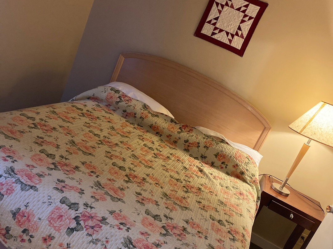 瑞士小木屋汽车旅馆主图