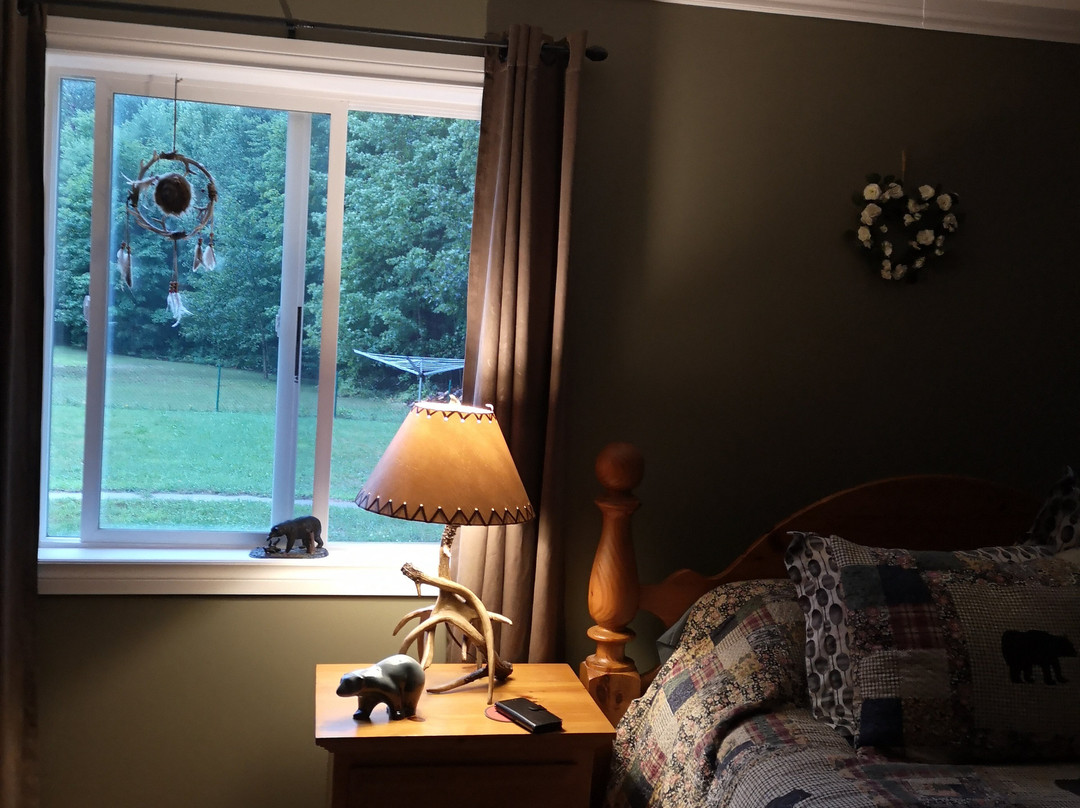 Bear & Butterfly Bed and Breakfast主图