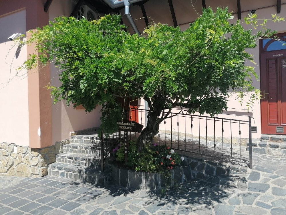 Penzion Bebek主图