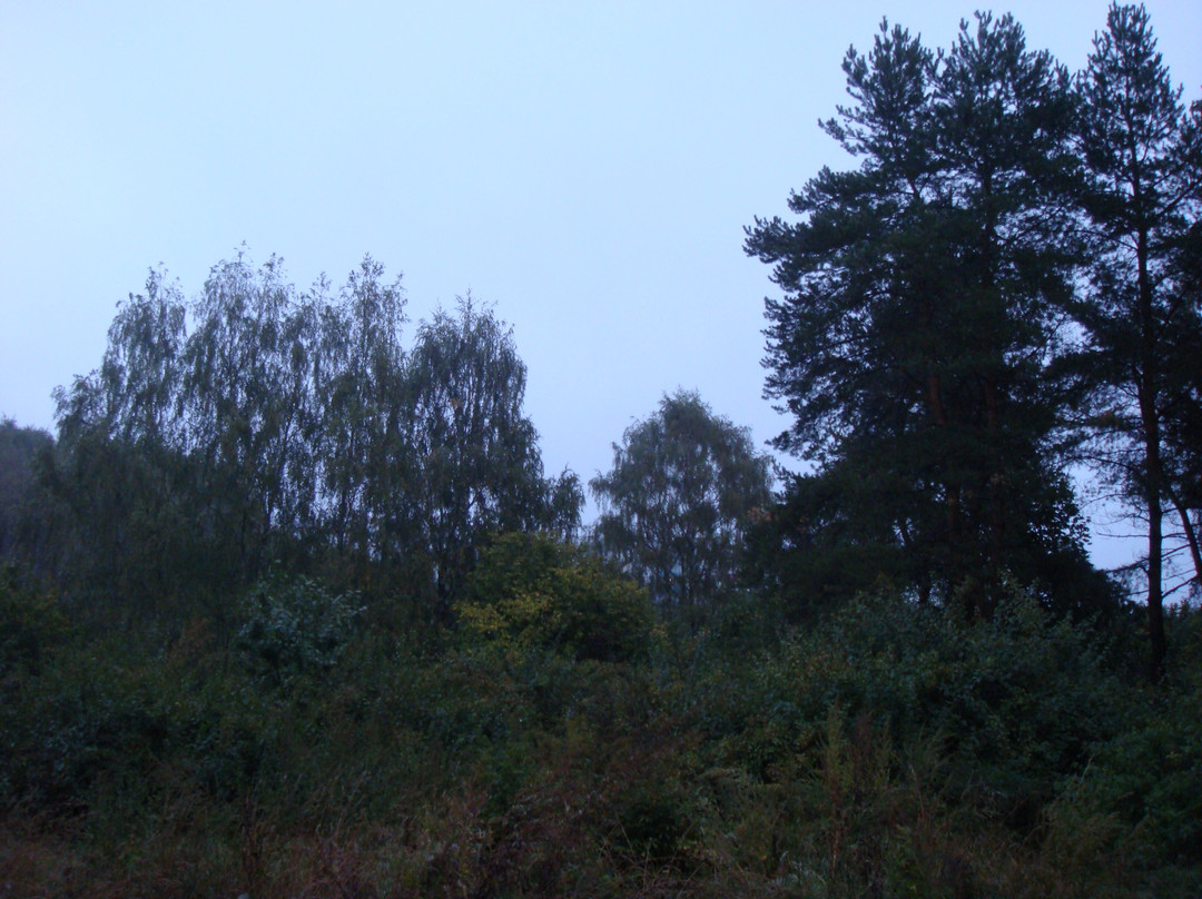 Landscape Reserve Tyoply Stan-莫斯科必去景点