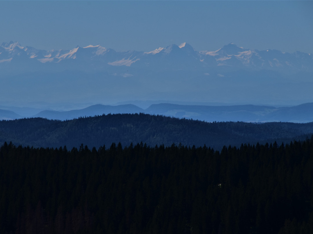 Feldbergbahn-菲尔德山必去景点