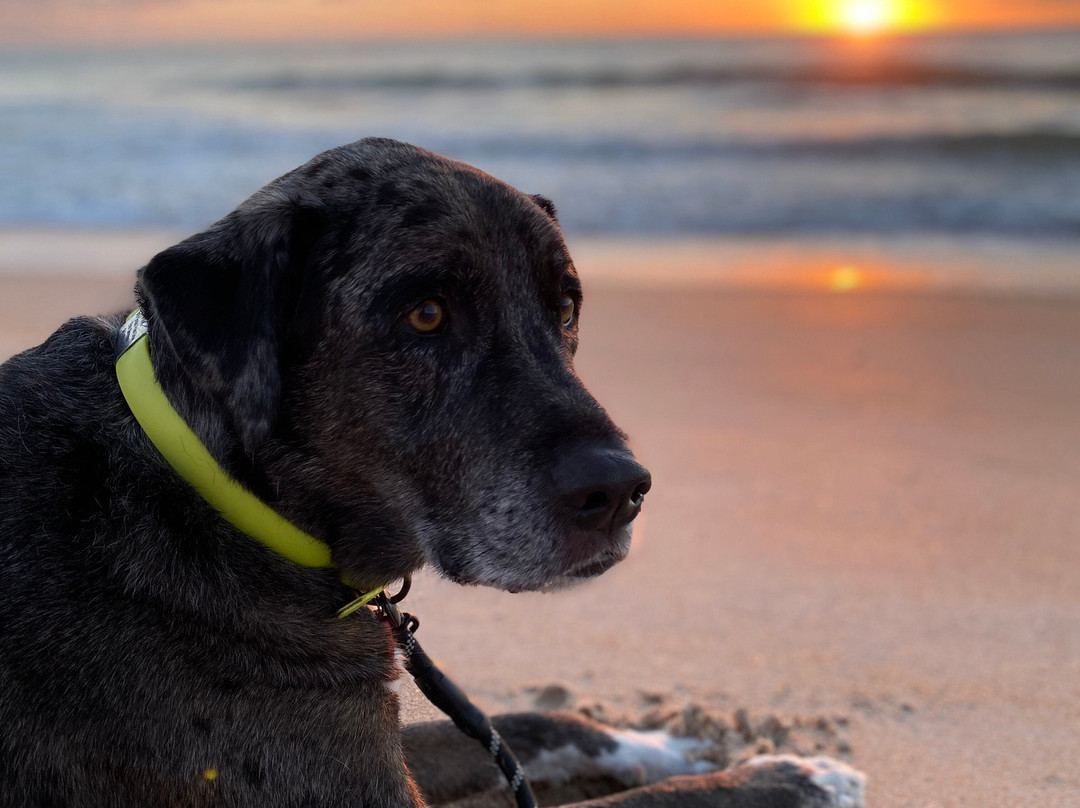 Si Como No Inn主图