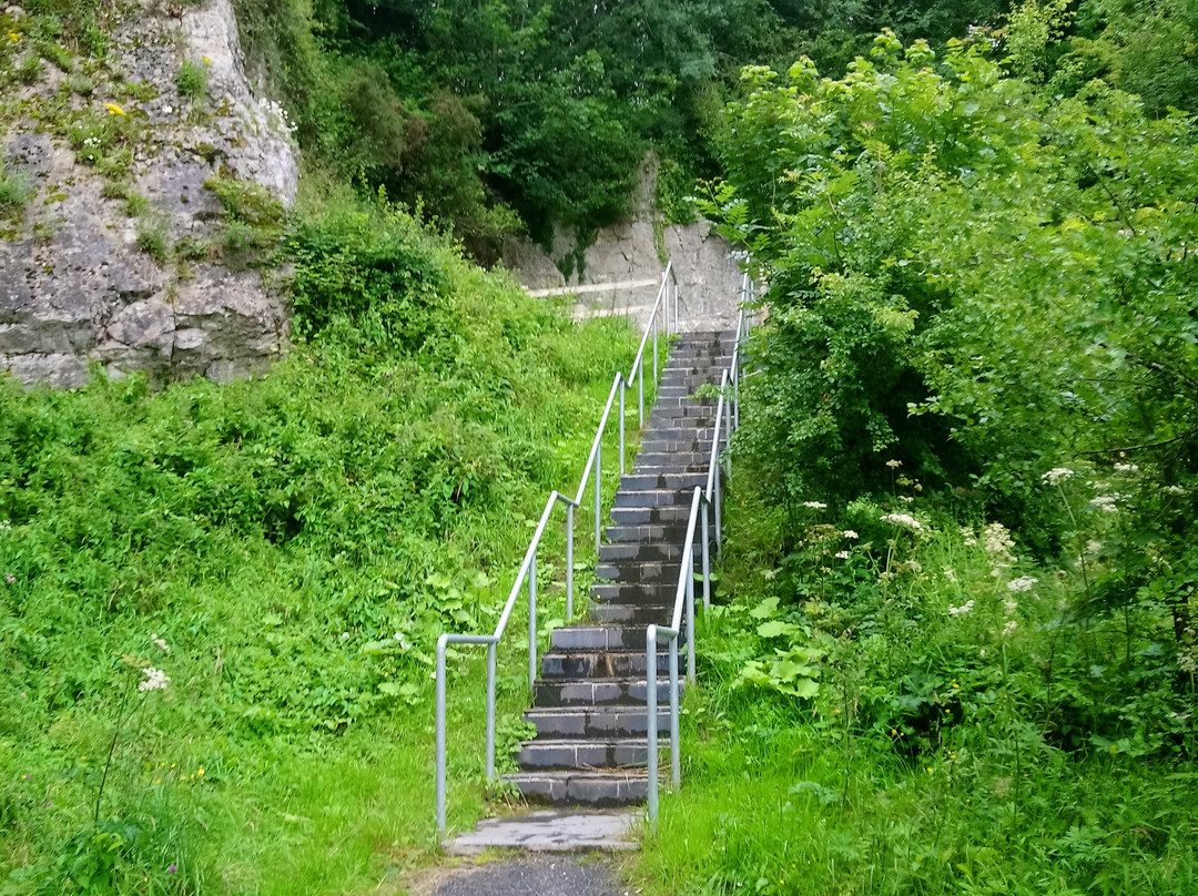 Belshaws Quarry Sculpture Park景点图片