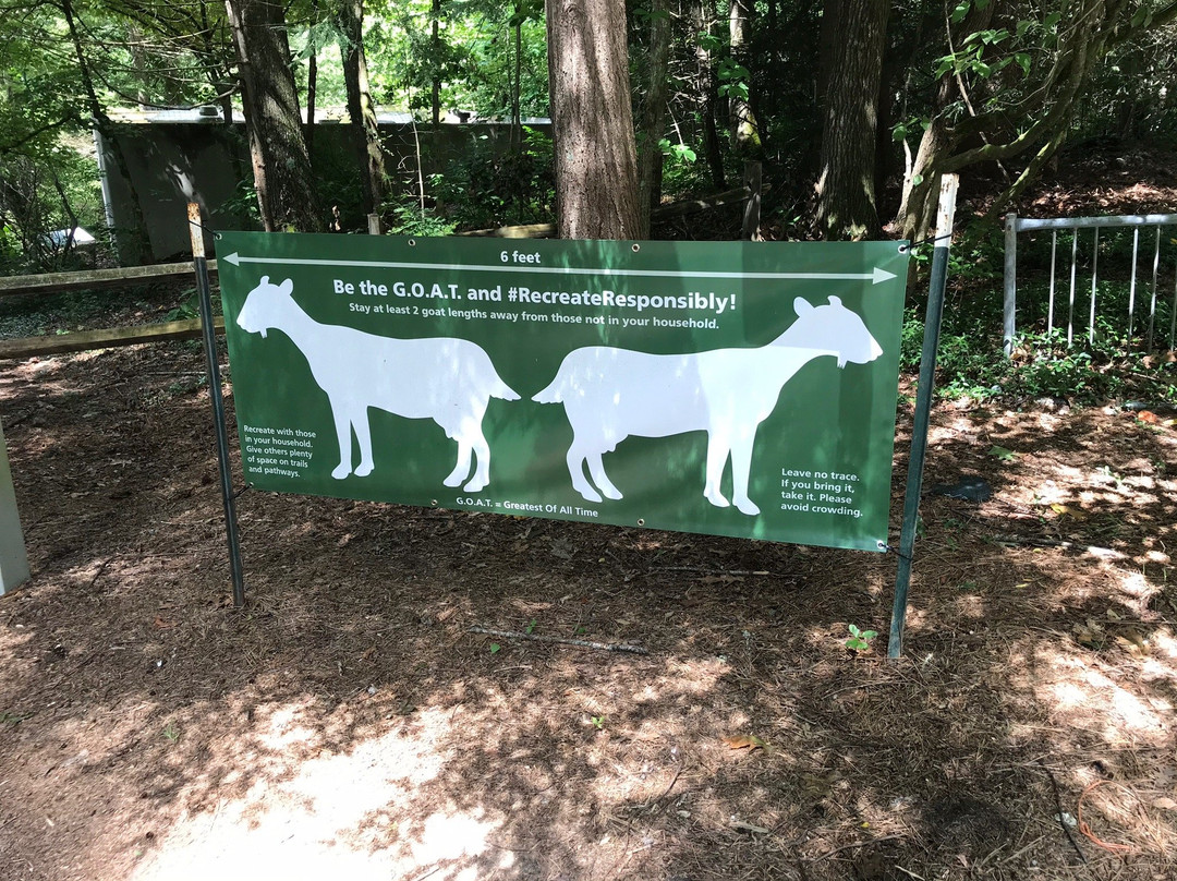 Carl Sandburg Home National Historic Site景点图片