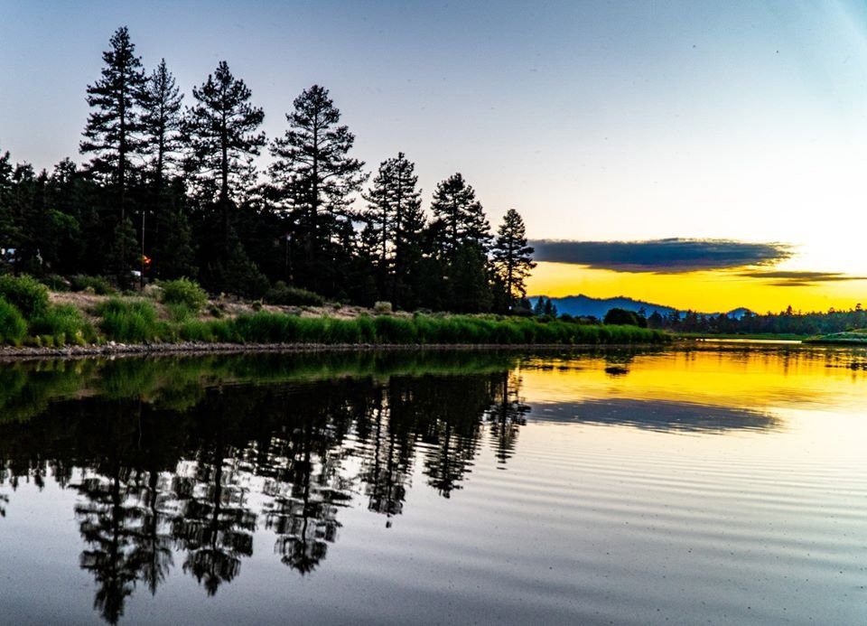 Golden Bear Cottages主图