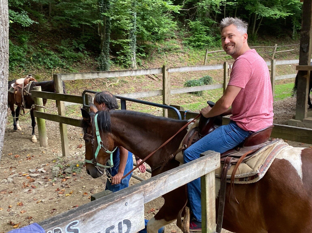 Nantahala Village Riding Stable景点图片