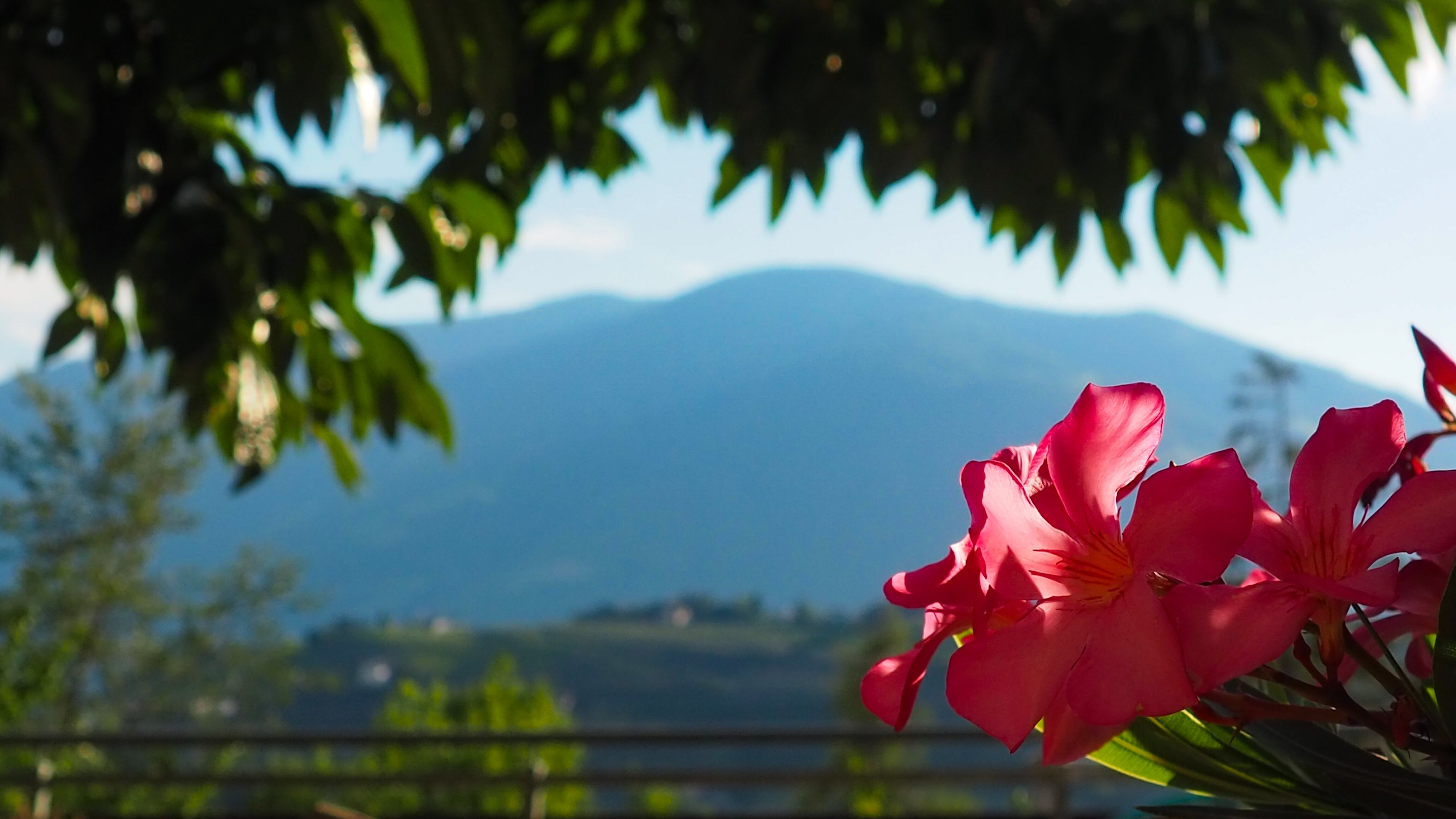 Hotel Weingut Innerleiterhof-泳池