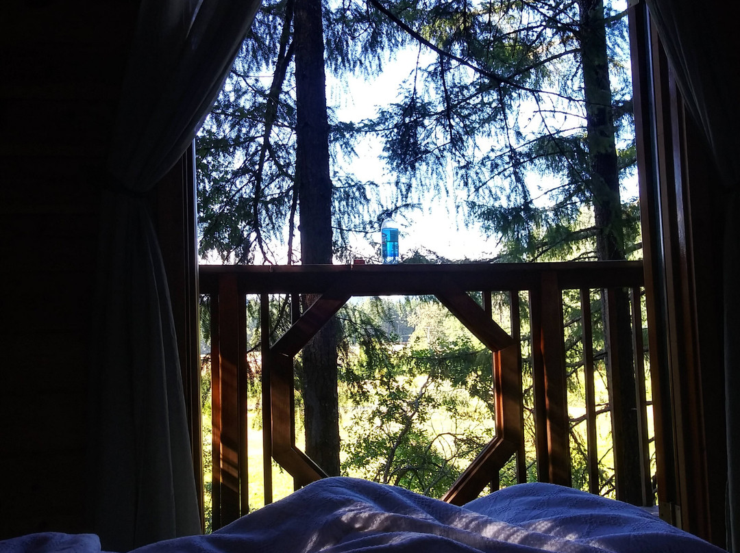 Vertical Horizons Treehouse Paradise主图