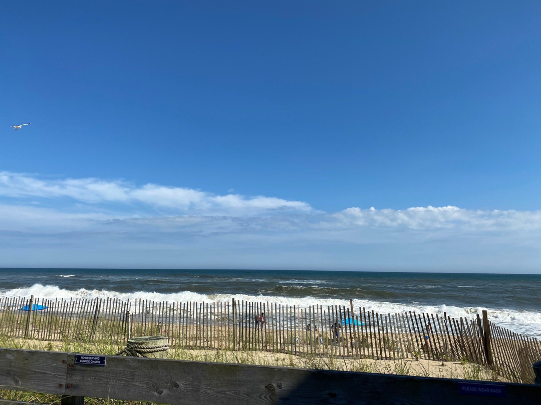 Ocean Surf Resort主图