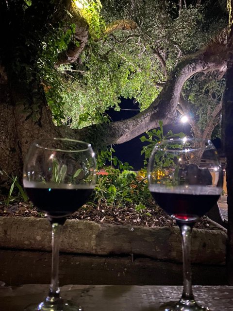 Hotel Pantanal Mato Grosso-餐饮