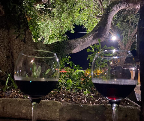 Hotel Pantanal Mato Grosso主图