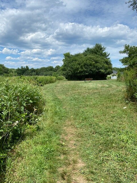 Pond Meadow Park-布伦特里必去景点