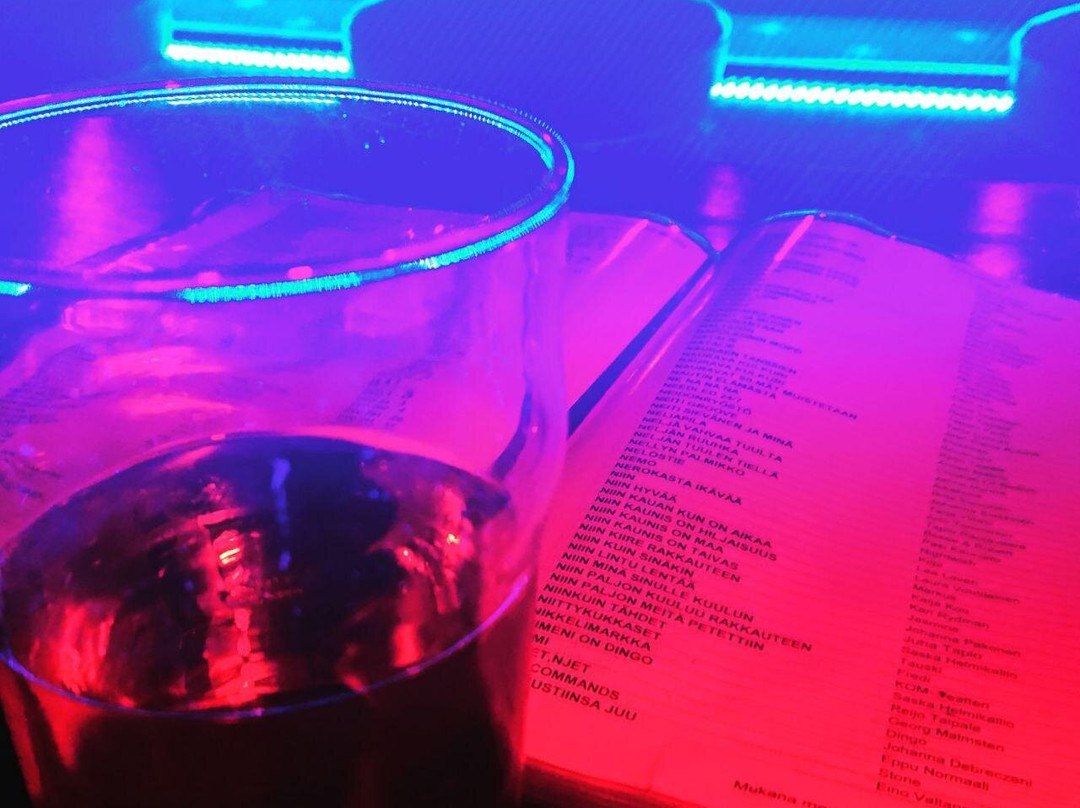 Karaoke Nightclub Swengi-赫尔辛基必去景点