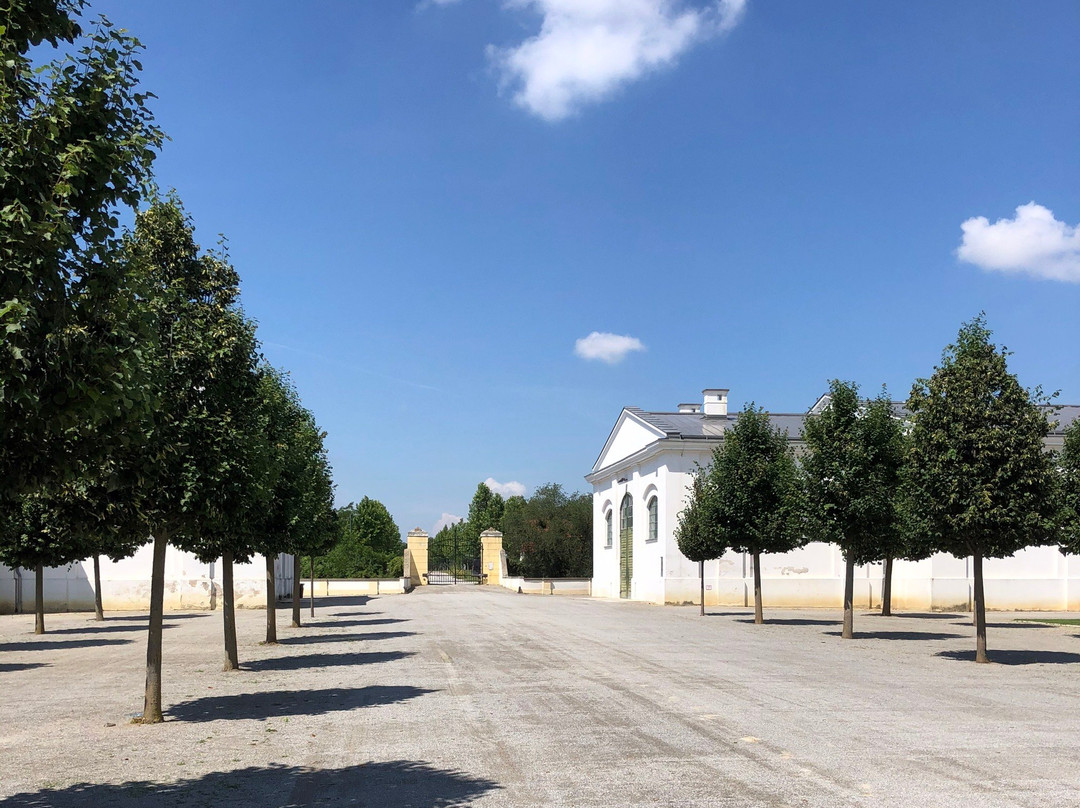 Schloss Hof-Schlosshof必去景点