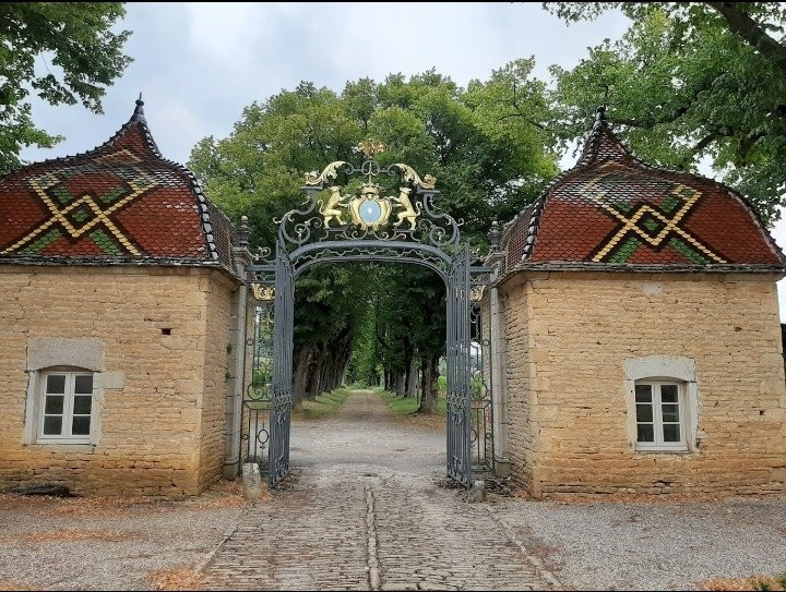 Château historique de Pierreclos景点图片