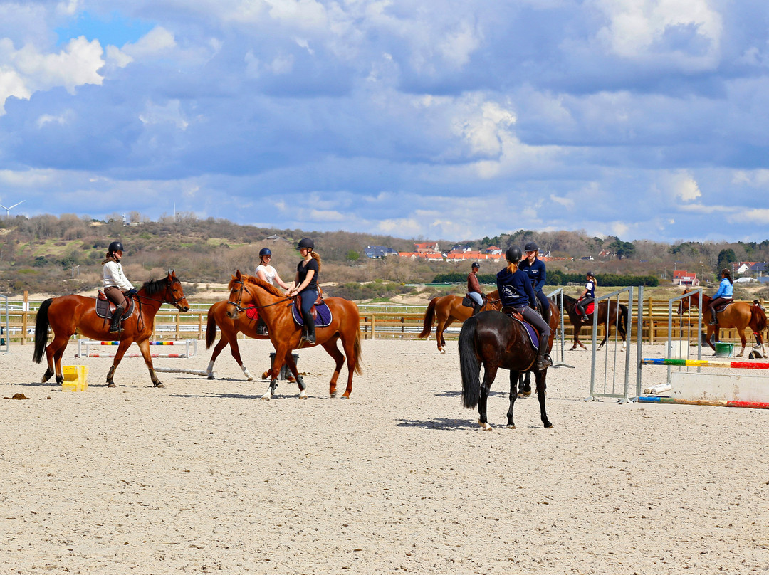 Equestrian Center Touquet Paris-Plage-勒图凯－巴黎普拉日必去景点