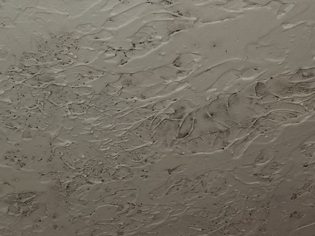 Sundowner Motel LLC主图