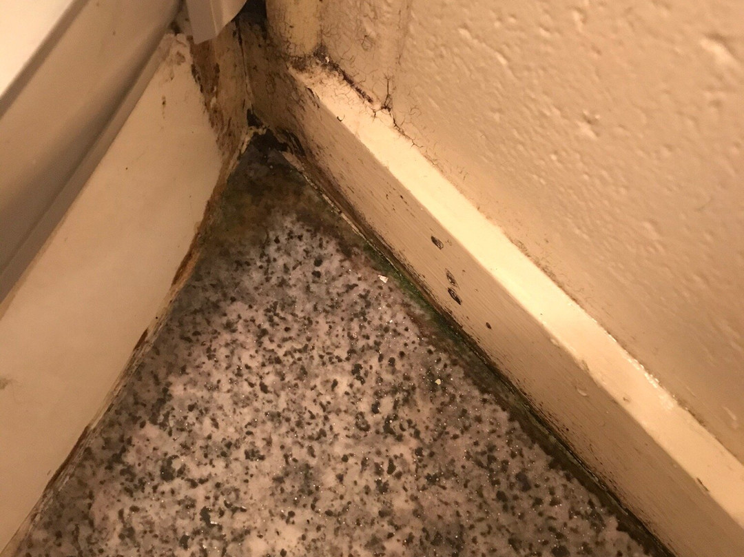 Wayfarer Motel主图