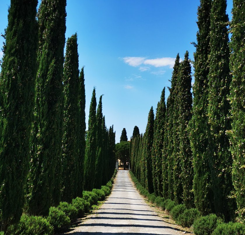Villa Loggio主图