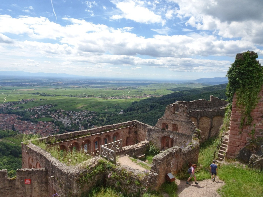 Château de Saint-Ulrich景点图片