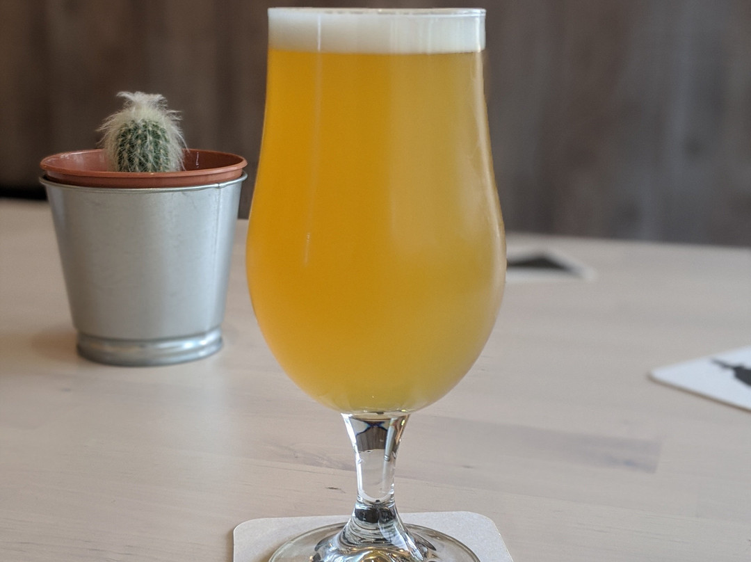 Black Cloak Brewery & Taproom景点图片