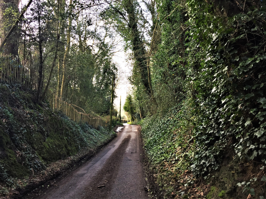 High Weald Landscape Trail景点图片