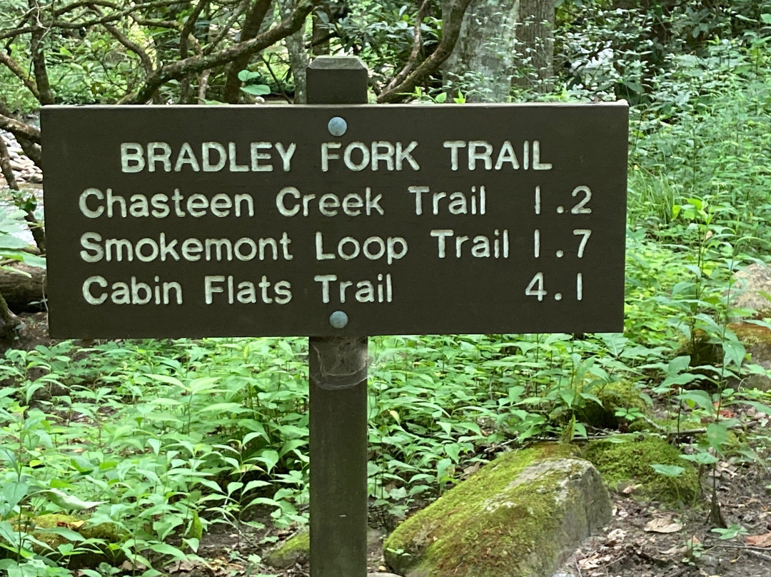 Chasteen Creek Trail景点图片