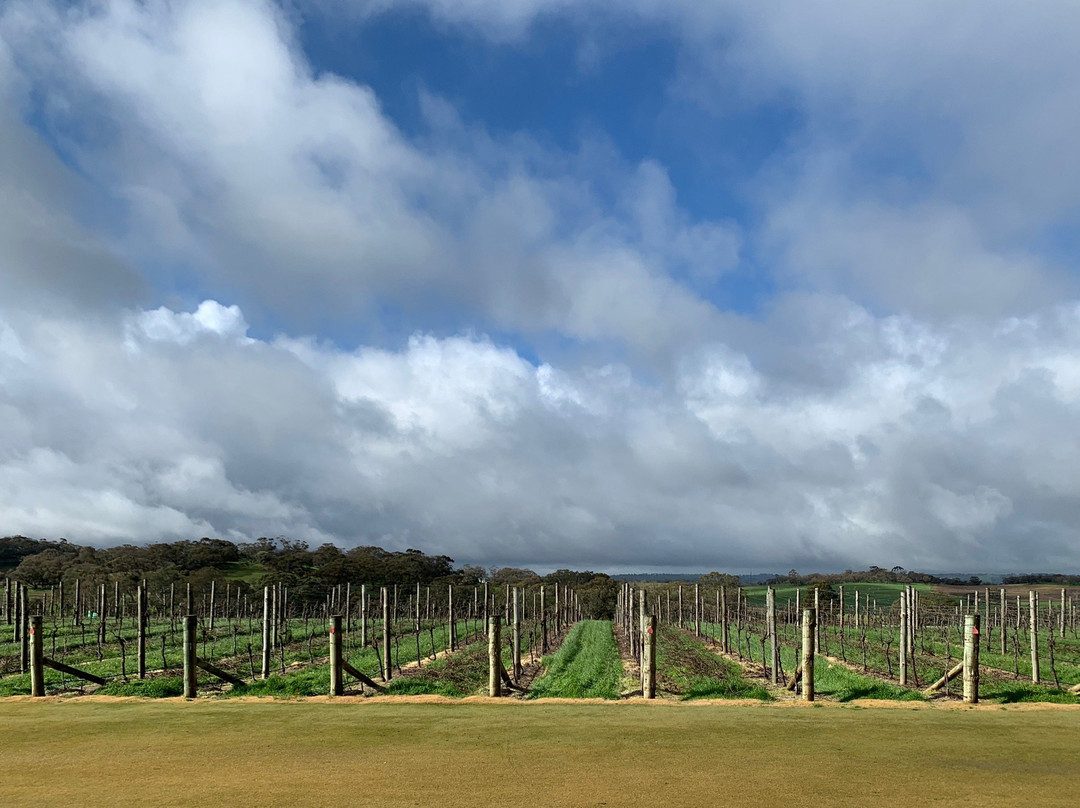 Barossa Valley Estate景点图片