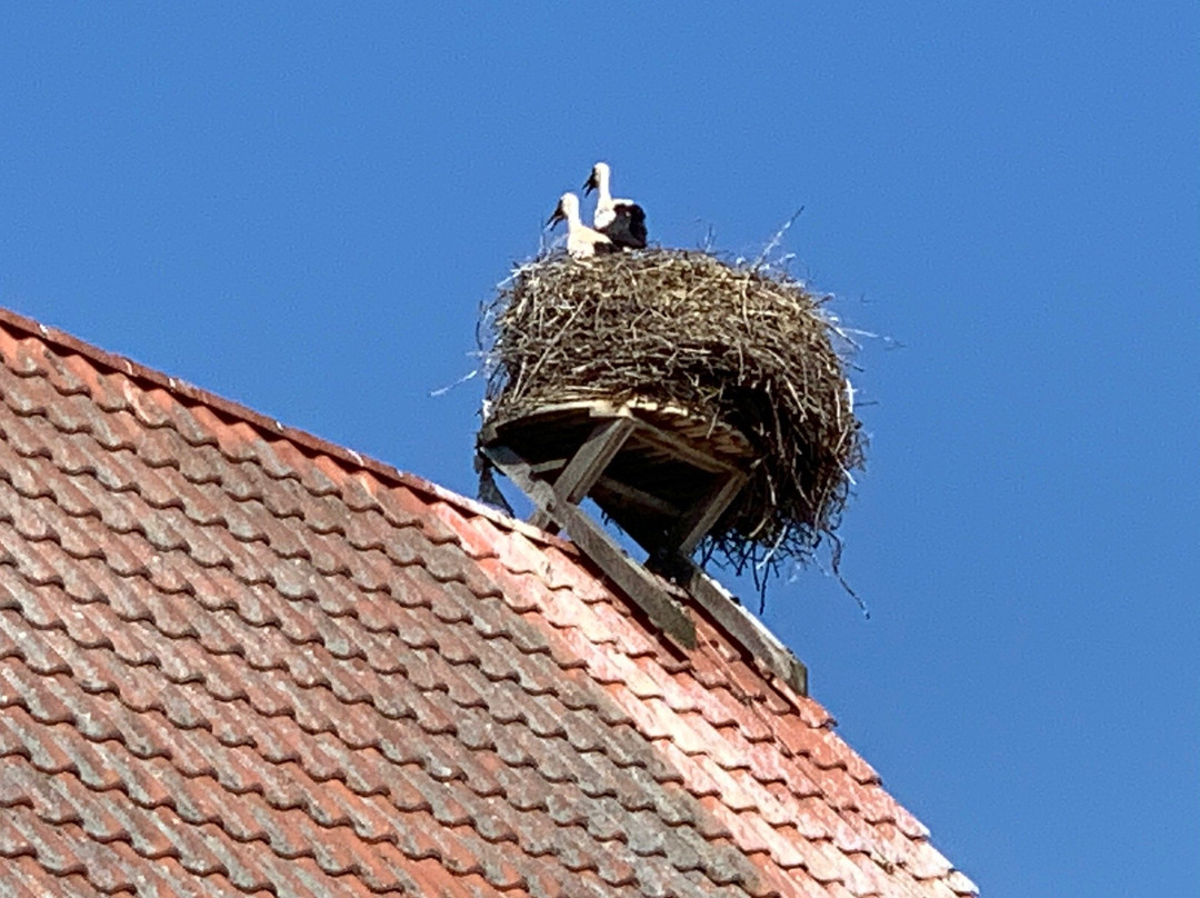 Biohotel Stiftsgut Wilhelmsglücksbrunn主图