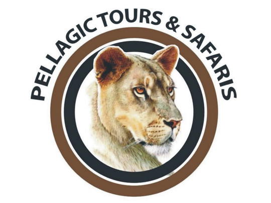 Pellagic Tours and Safaris-温德和克必去景点