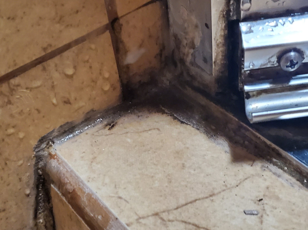 Best Western Plus Jacksonville West主图