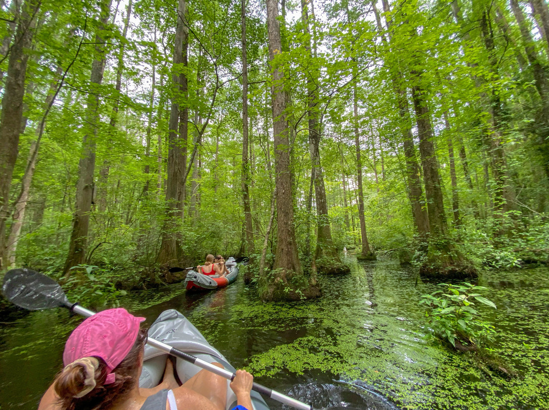 Robertson Millpond Preserve-Wendell必去景点