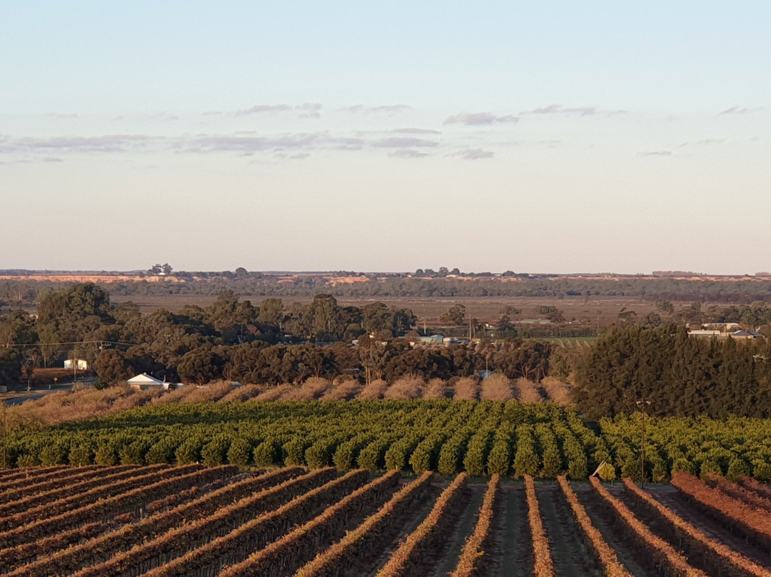 Renmark Rotary Township Lookout Tower-Renmark必去景点