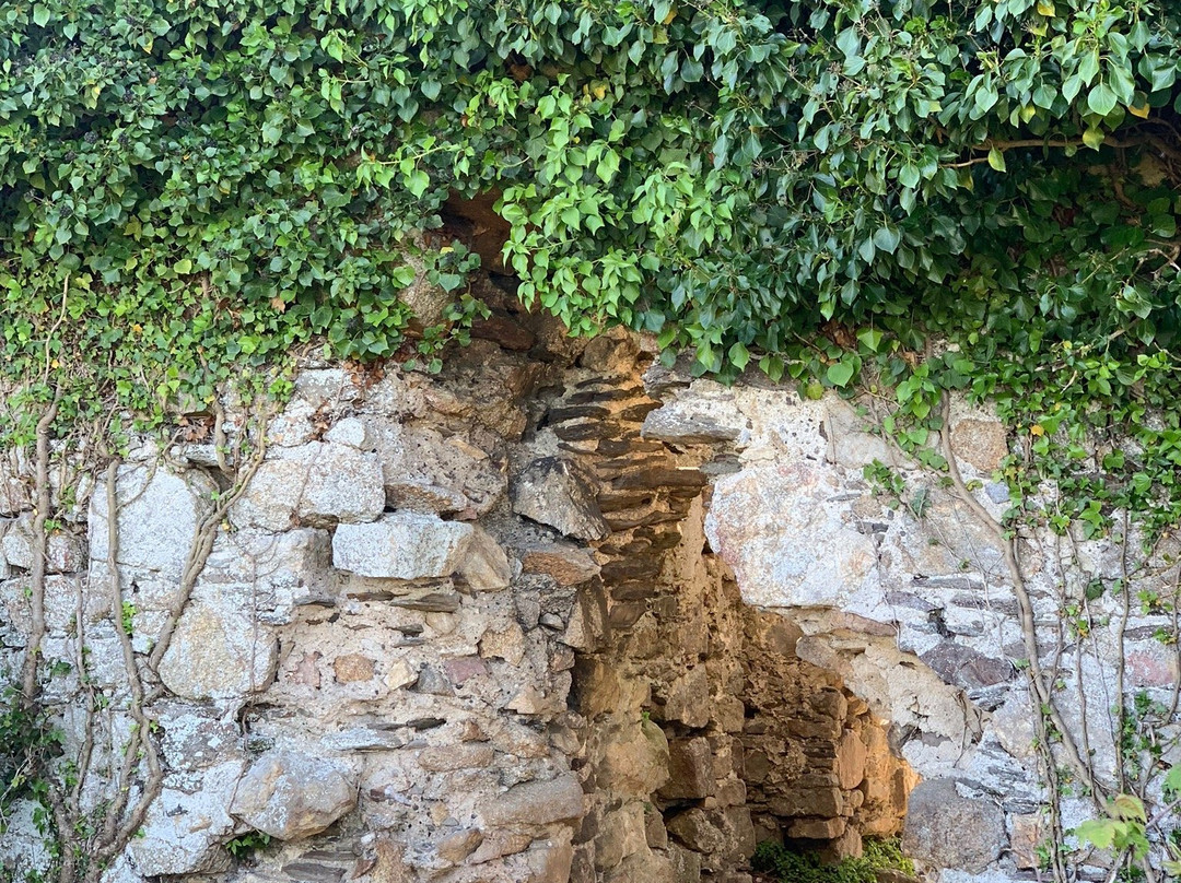 Puck's Castle Ruins-Shankill必去景点