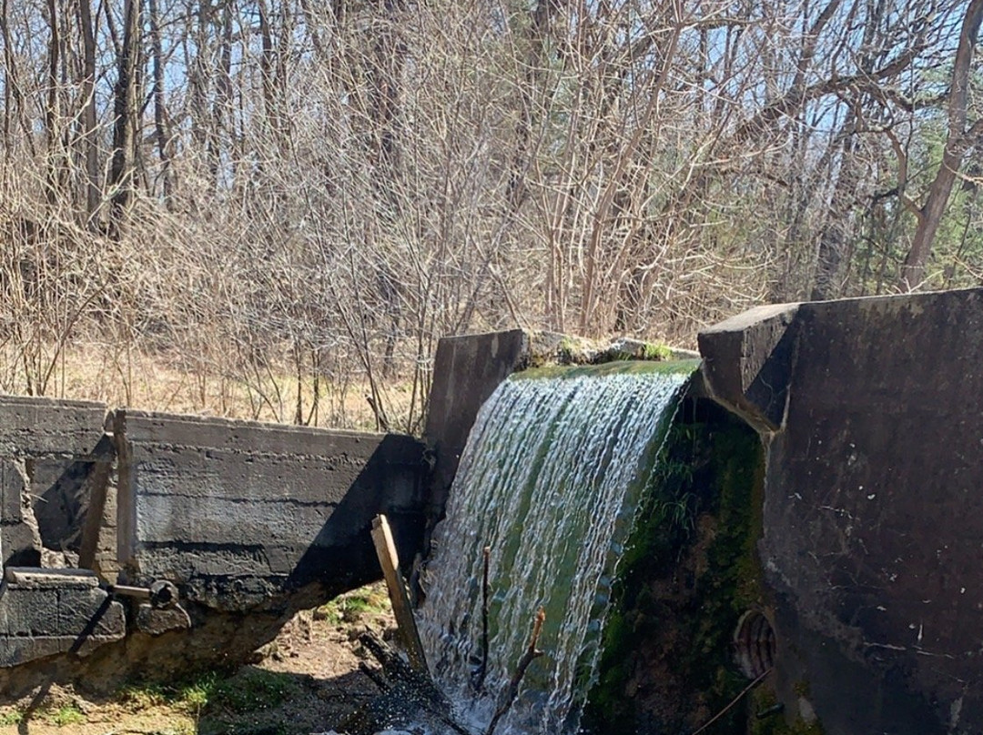 Kettle Moraine State Forest景点图片