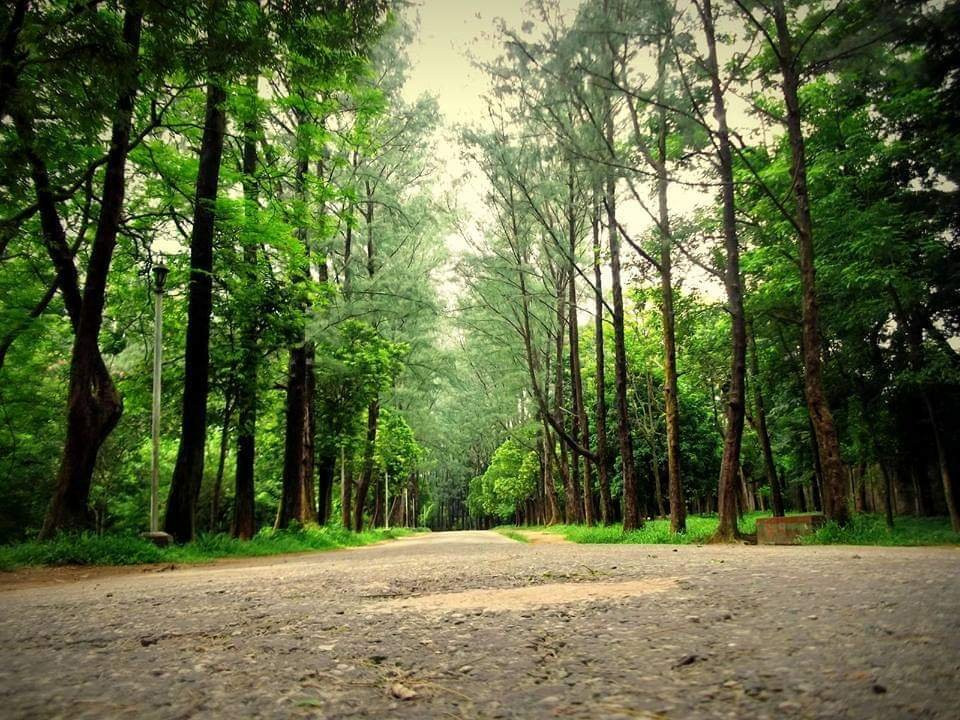 National Botanical Garden景点图片
