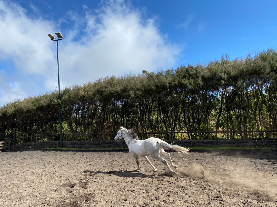 CEM - Clube Equestre da Madeira-Santa Cruz必去景点