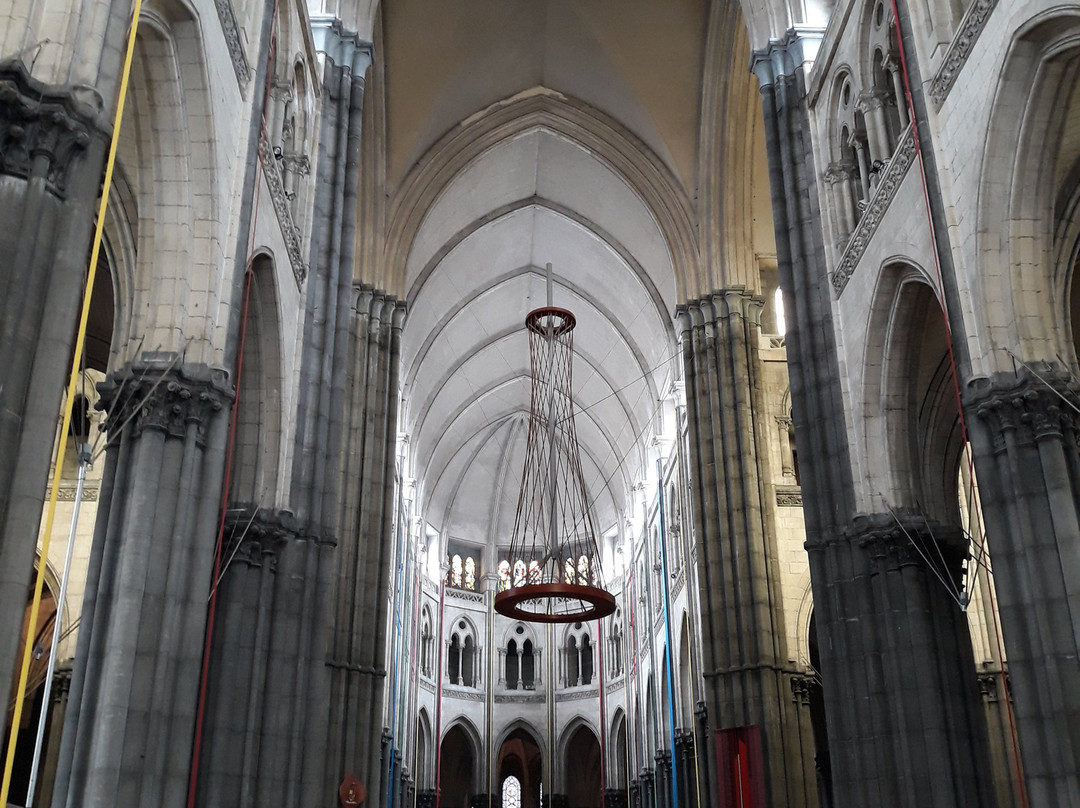 Cathedrale de la Treille景点图片