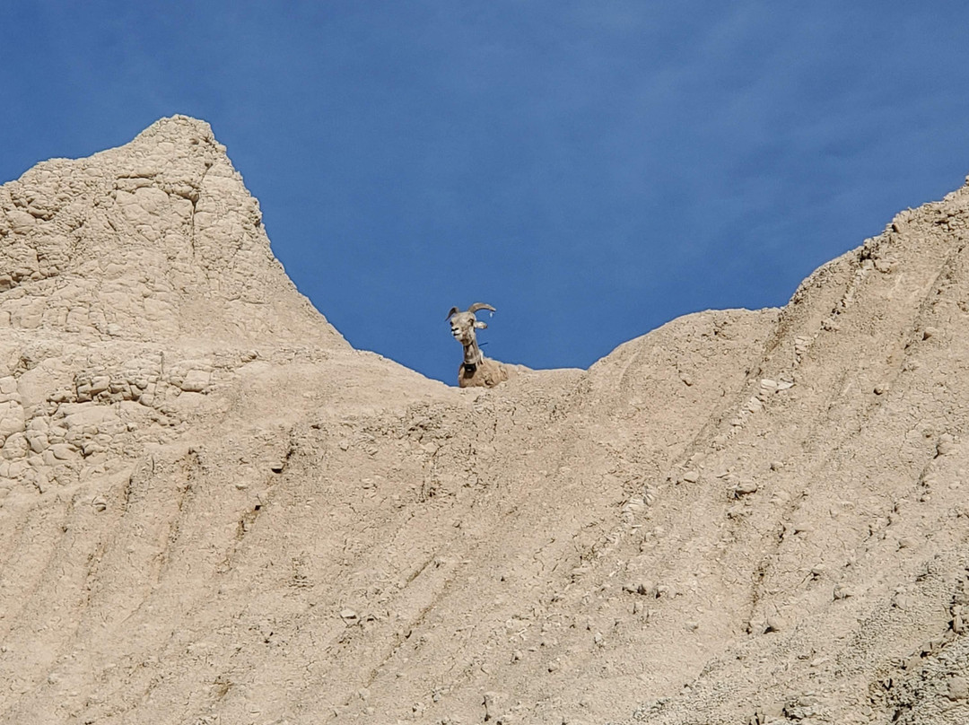 Badlands National Park景点图片