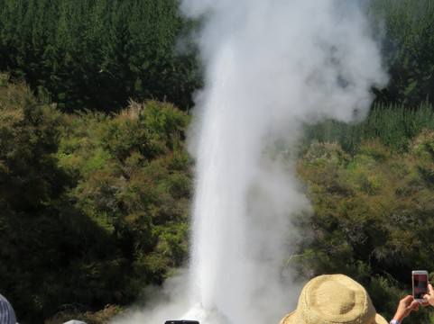 Lady Knox Geyser-罗托鲁瓦必去景点