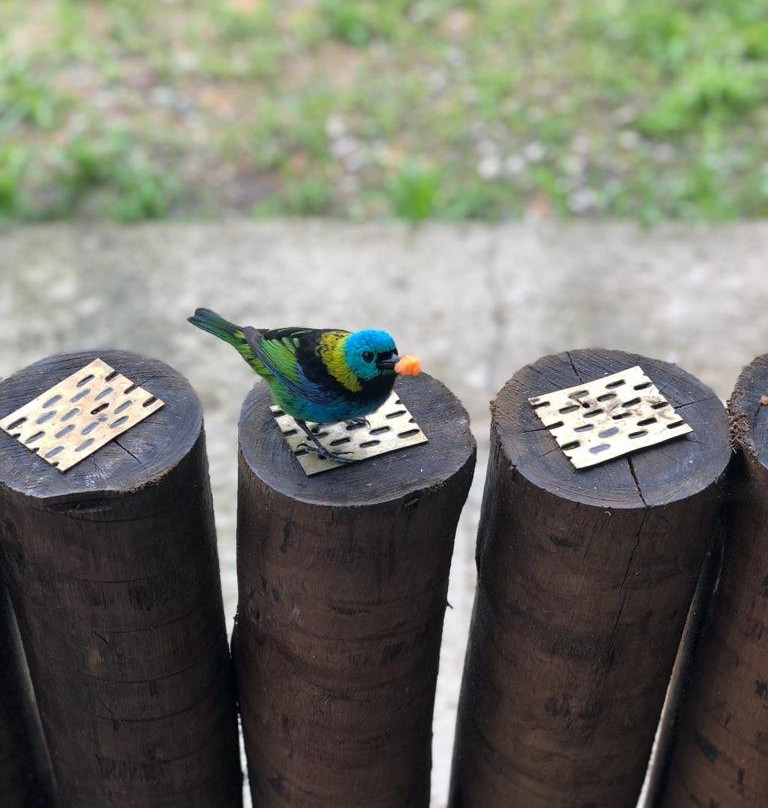 Legado das Aguas-Miracatu必去景点